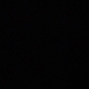 Meet your Posher, Leonard